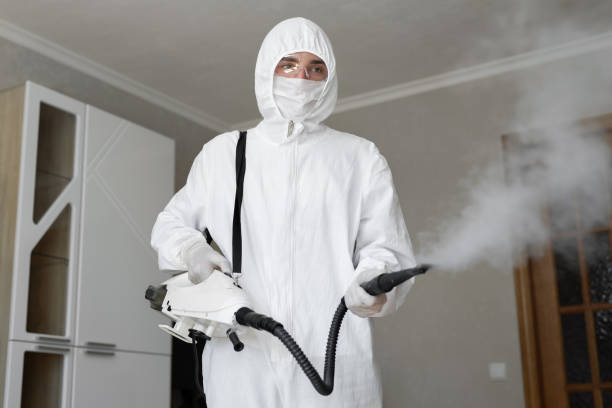 Best Mold Odor Removal Services  in Candler Mcafee, GA